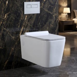 Wall Hung Toilets